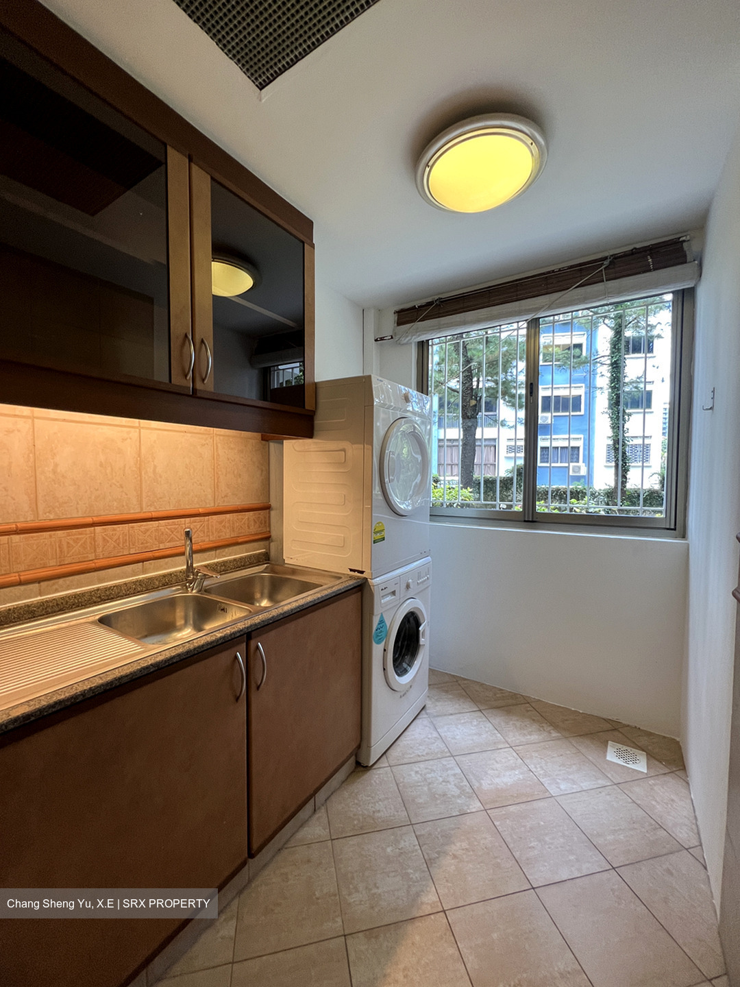 Cavenagh Lodge (D9), Apartment #446379791